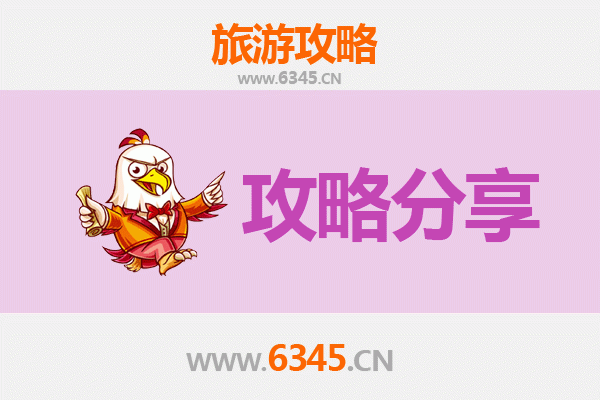 贞丰至湄洲岛旅游攻略：跟团还是自由行深度解析